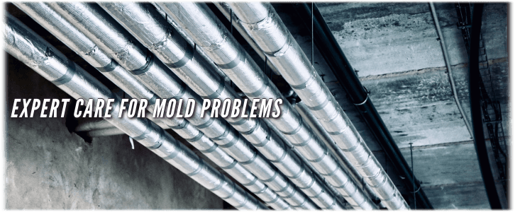 Air Duct Mold Removal in Brooklyn