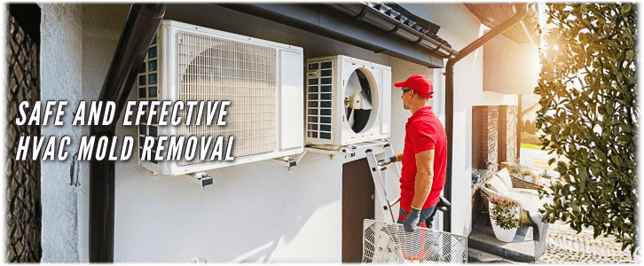 HVAC Mold Removal Brooklyn